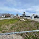 Review photo of Bear Mountain RV Park by Michael C., February 3, 2023