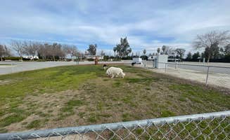 Michael C.'s photo of camping with pets at Bear Mountain RV Park near Greenfield, CA