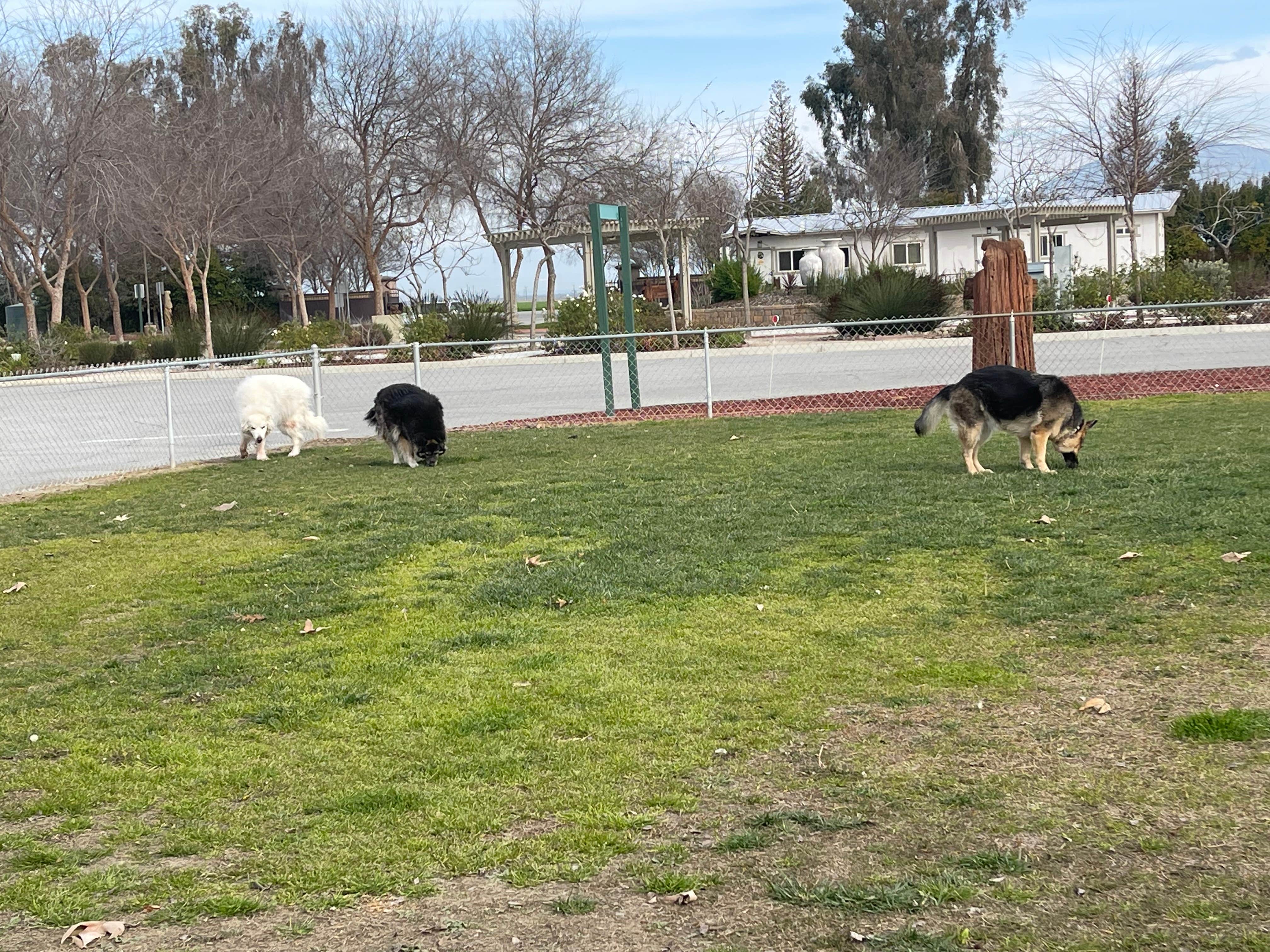 Camper-submitted photo at Bear Mountain RV Park near Tupman, CA