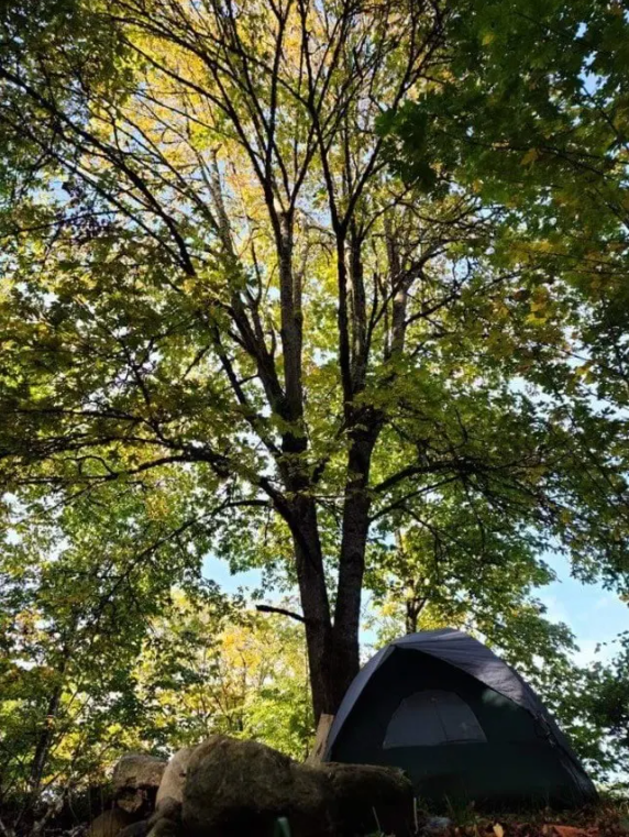 Paul Y.'s photo at Grove Getaways near Lake Tapps, WA