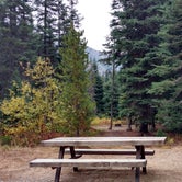 Review photo of Lone Fir Campground by Natalie B., September 29, 2018