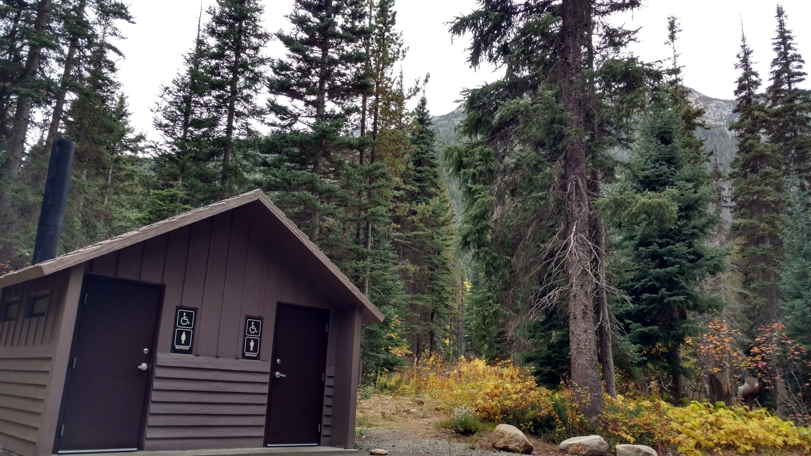 Camper submitted image from Lone Fir Campground - 4