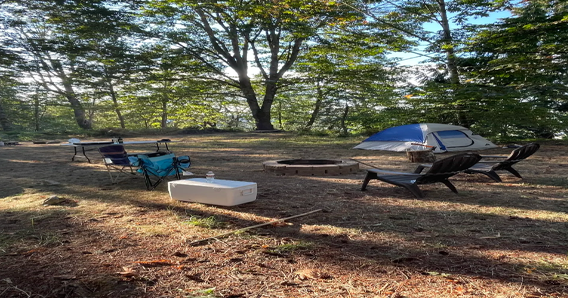 Grove Getaways