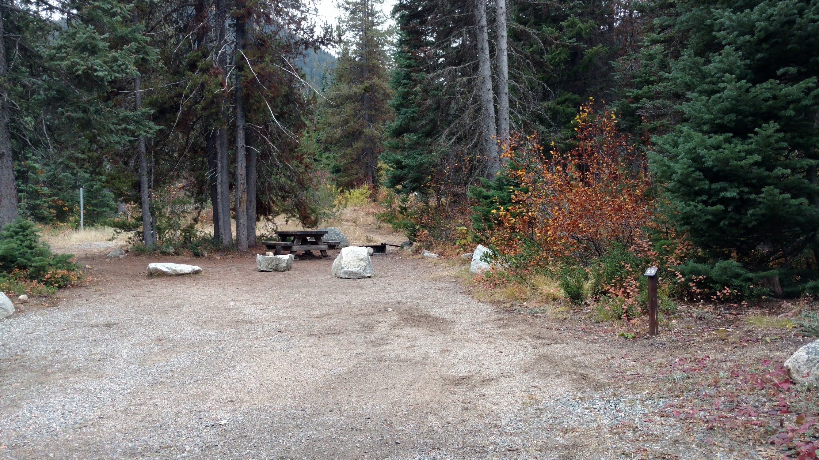 Camper submitted image from Lone Fir Campground - 3