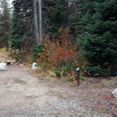 Review photo of Lone Fir Campground by Natalie B., September 29, 2018