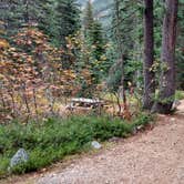 Review photo of Lone Fir Campground by Natalie B., September 29, 2018