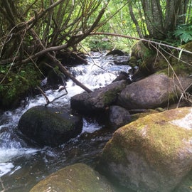 Windsor Creek has awesome scenery and cool temps, even in the summer.