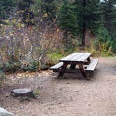 Review photo of Lone Fir Campground by Natalie B., September 29, 2018