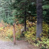 Review photo of Lone Fir Campground by Natalie B., September 29, 2018