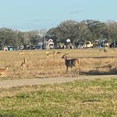 Review photo of Brackenridge Recreation Complex by Andrea S., February 4, 2023