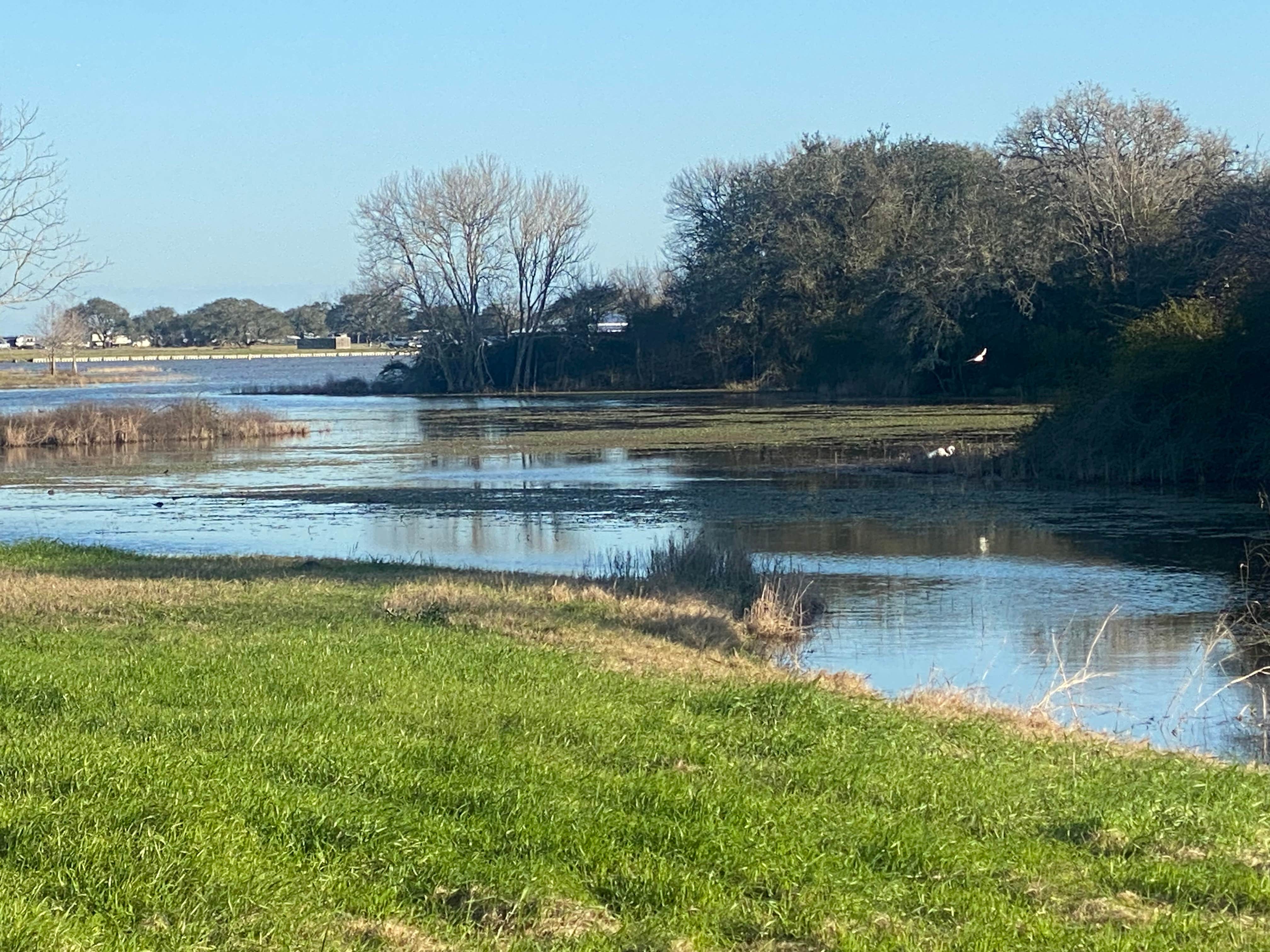 Camper-submitted photo at Brackenridge Recreation Complex near Hallettsville, TX