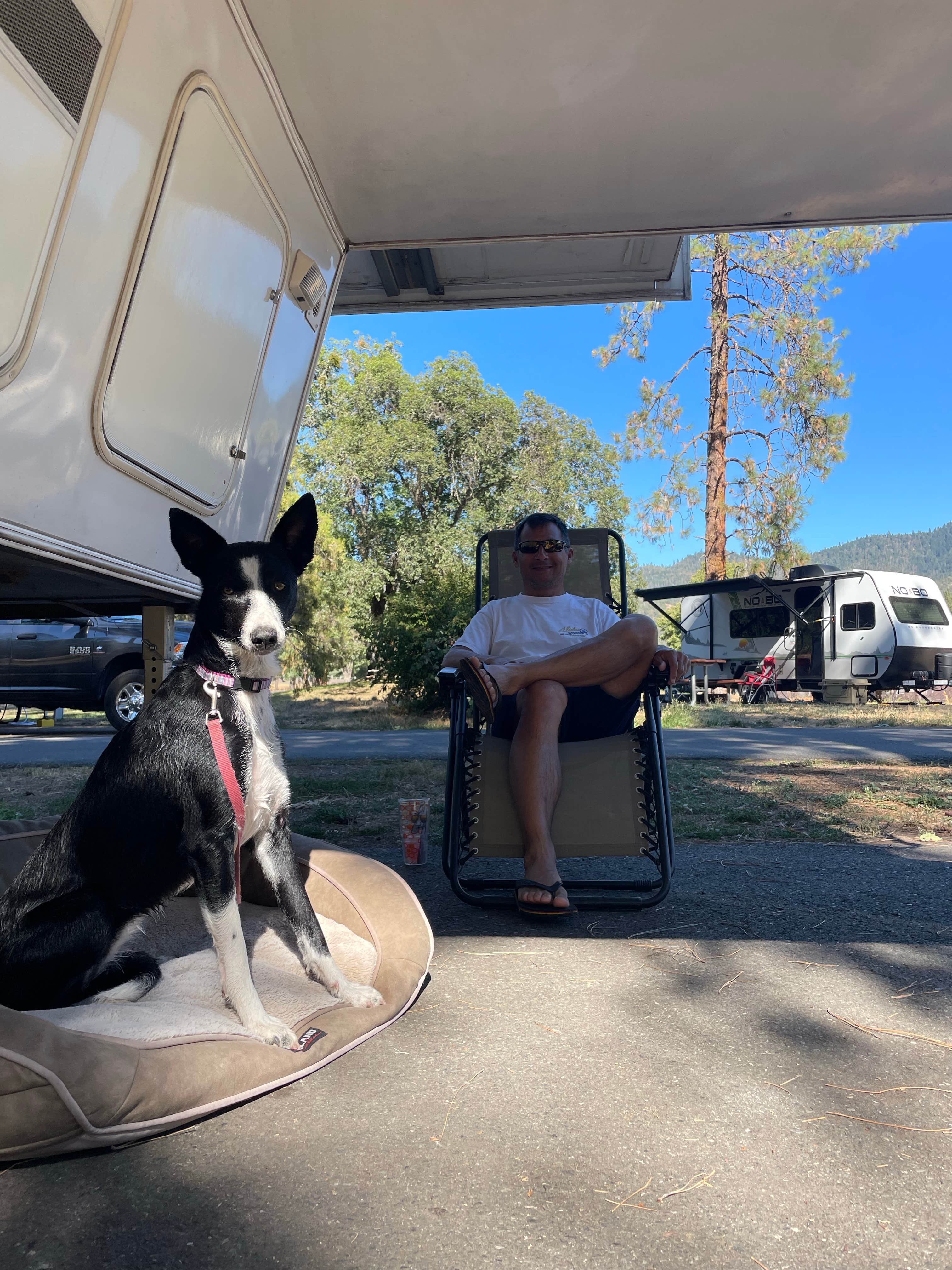 BigIslandBound G.'s photo of camping with pets at Valley of the Rogue State Park Campground near Talent, OR