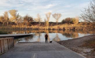Joel G.'s photo of camping with pets at Palo Verde County Park near Cibola, AZ
