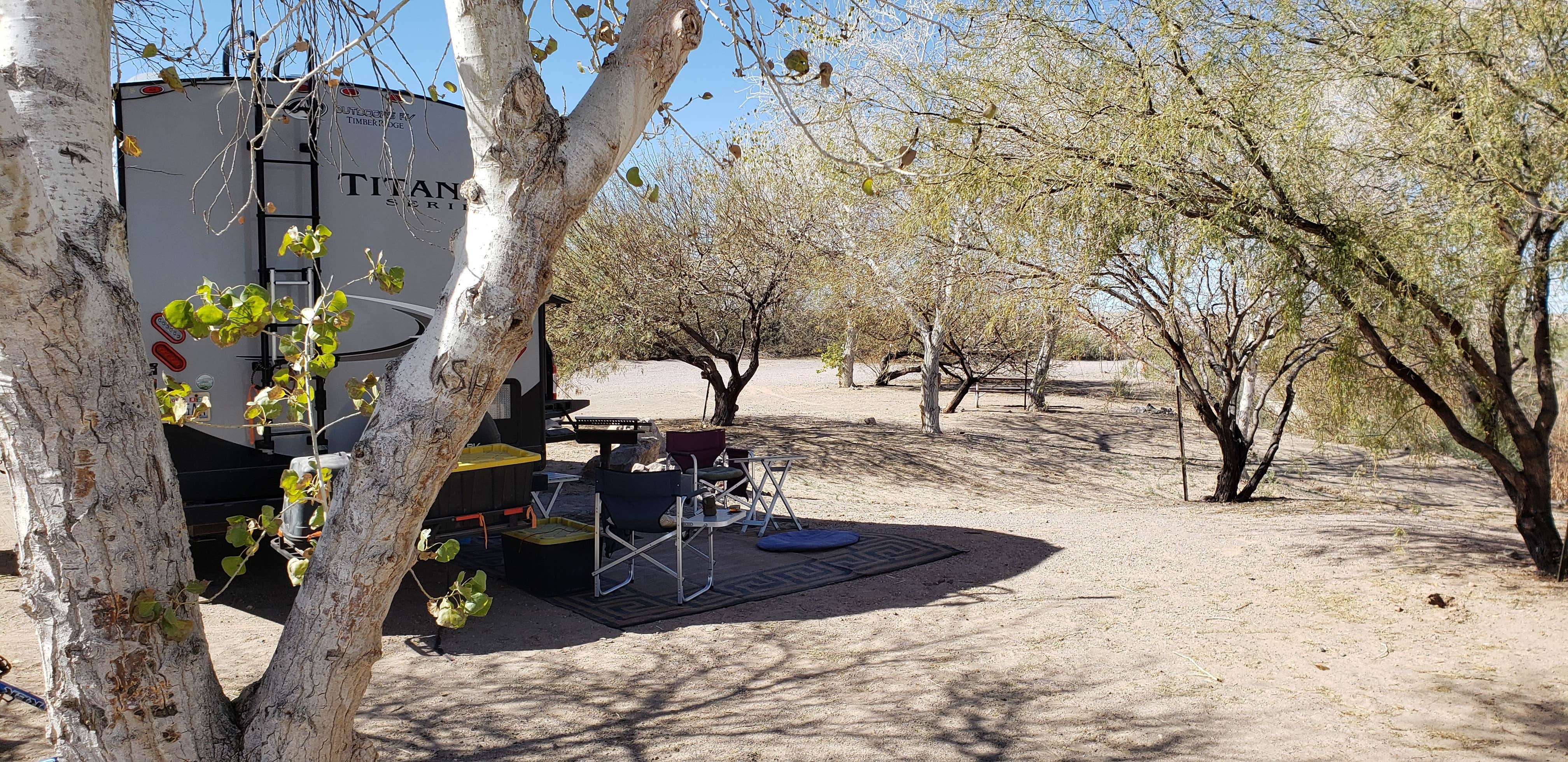 Camper submitted image from Palo Verde County Park - 1