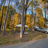 Review photo of Mt Gilead State Park Campground by Shannon G., February 5, 2023