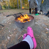 Review photo of Mt Gilead State Park Campground by Shannon G., February 5, 2023