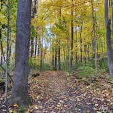 Review photo of Mt Gilead State Park Campground by Shannon G., February 5, 2023