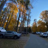 Review photo of Mt Gilead State Park Campground by Shannon G., February 5, 2023