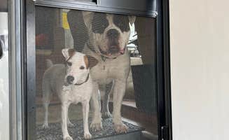 teresa P.'s photo of camping with pets at Moonshine Acres RV Park near Lake Butler, FL