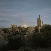 Review photo of Cactus Forest Dispersed by Isabel H., February 6, 2023