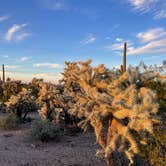 Review photo of Cactus Forest Dispersed by Isabel H., February 6, 2023