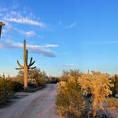 Review photo of Cactus Forest Dispersed by Isabel H., February 6, 2023