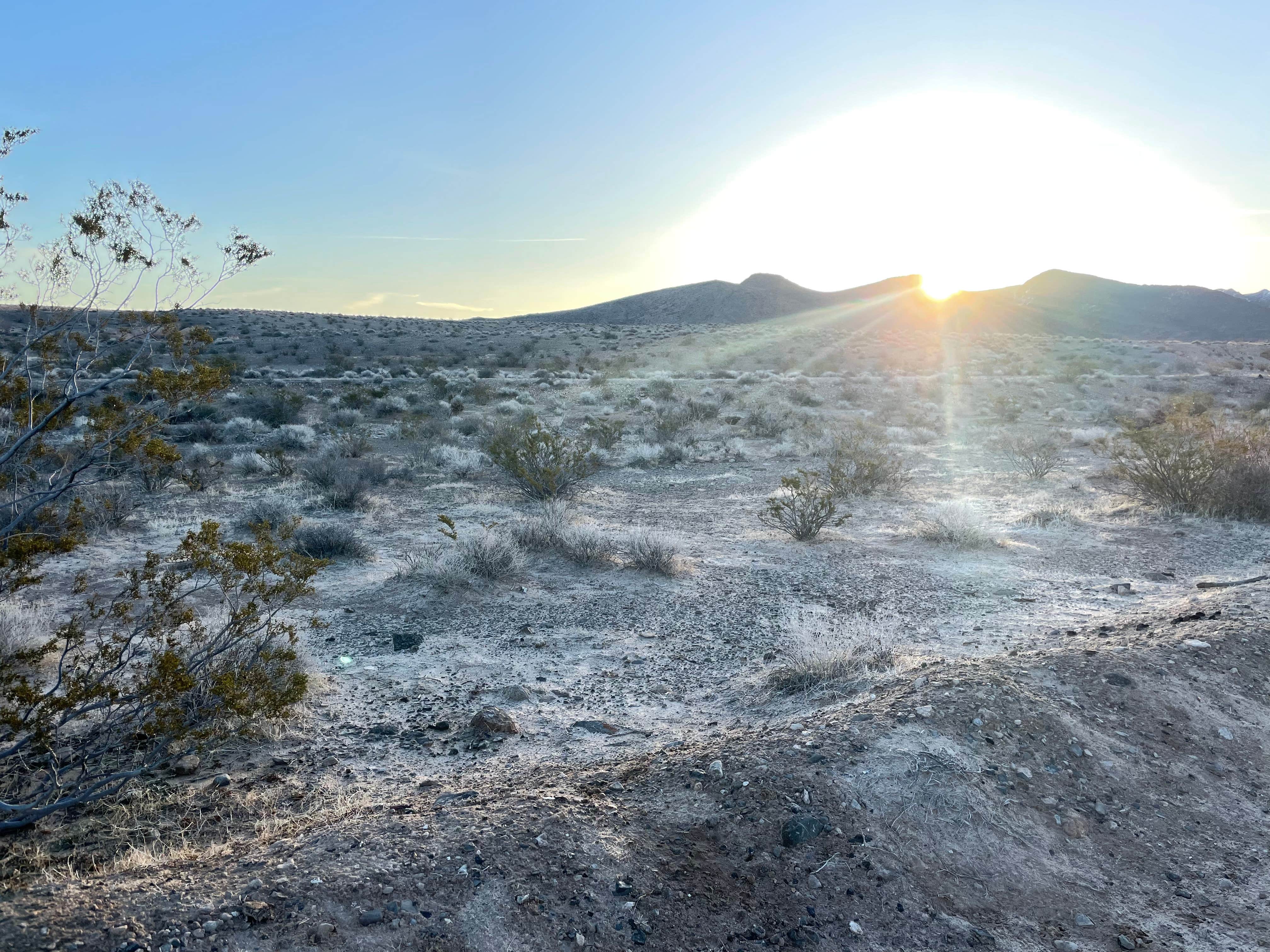 Camper-submitted photo at BLM dispersed camping west of Valley of Fire near Overton, NV