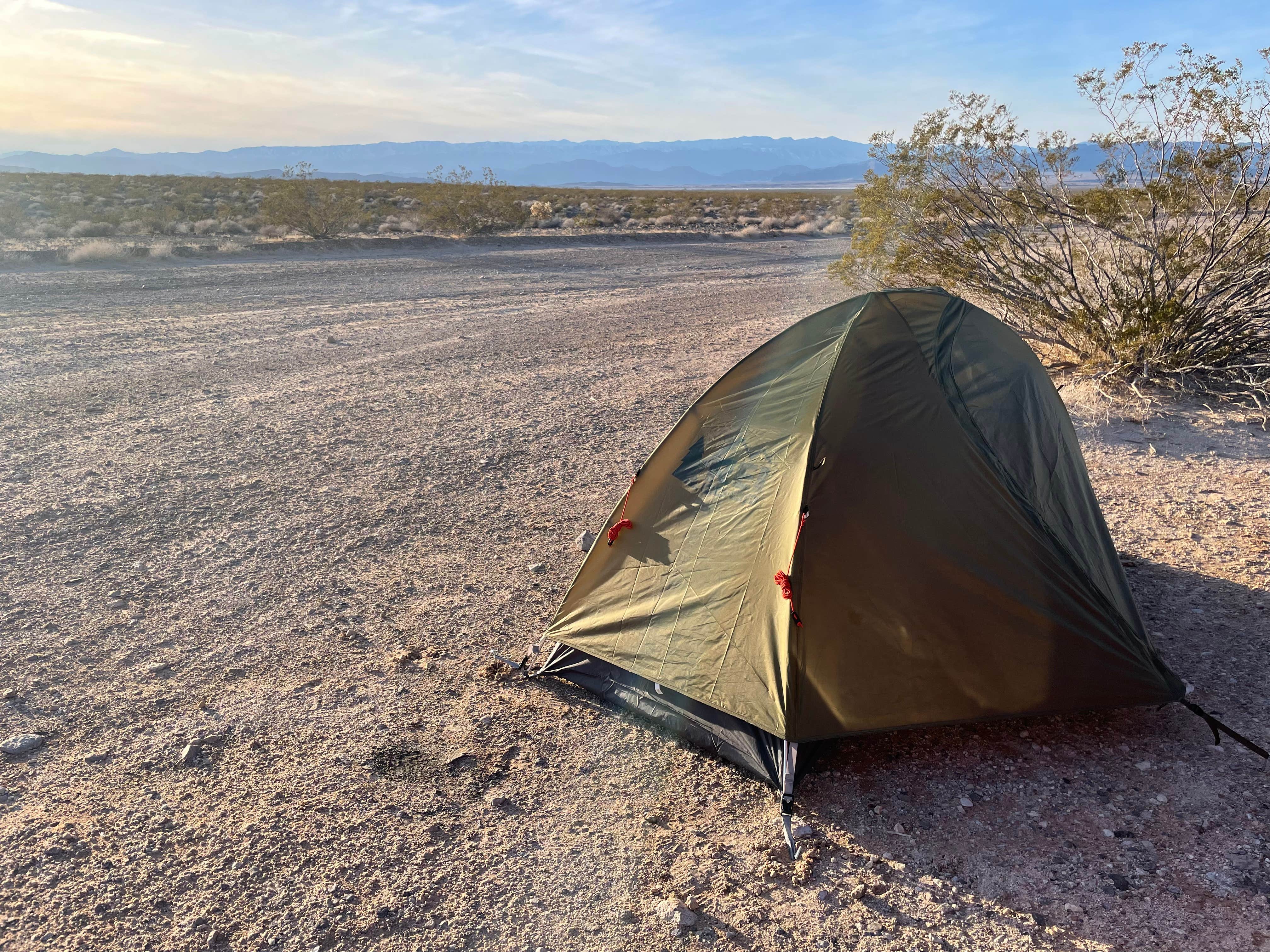 Camper-submitted photo at BLM dispersed camping west of Valley of Fire near Overton, NV