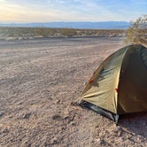 Review photo of BLM dispersed camping west of Valley of Fire by Isabel H., February 4, 2023