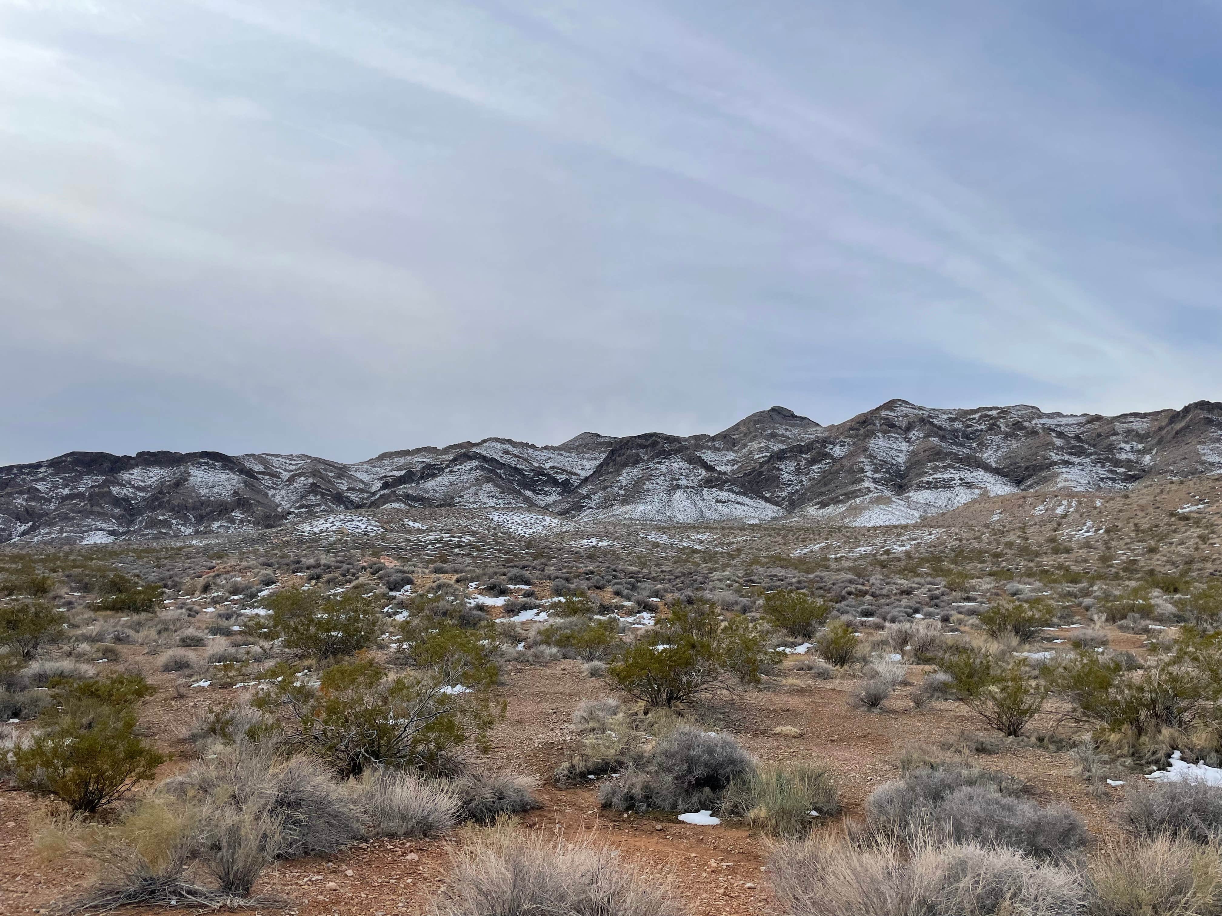 Camper-submitted photo at BLM dispersed camping west of Valley of Fire near Overton, NV