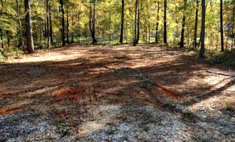 Camping near Tombigbee Lake  -  AC Indian Reservation: Living The Dream, Livingston, Texas