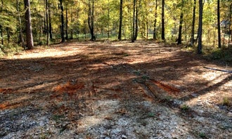 Camping near Double Lake NF Campground: Living The Dream, Livingston, Texas