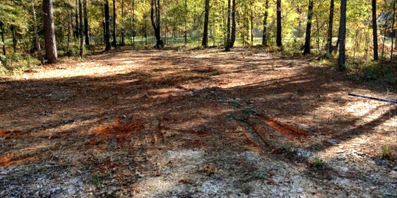 Camper submitted image from Living The Dream