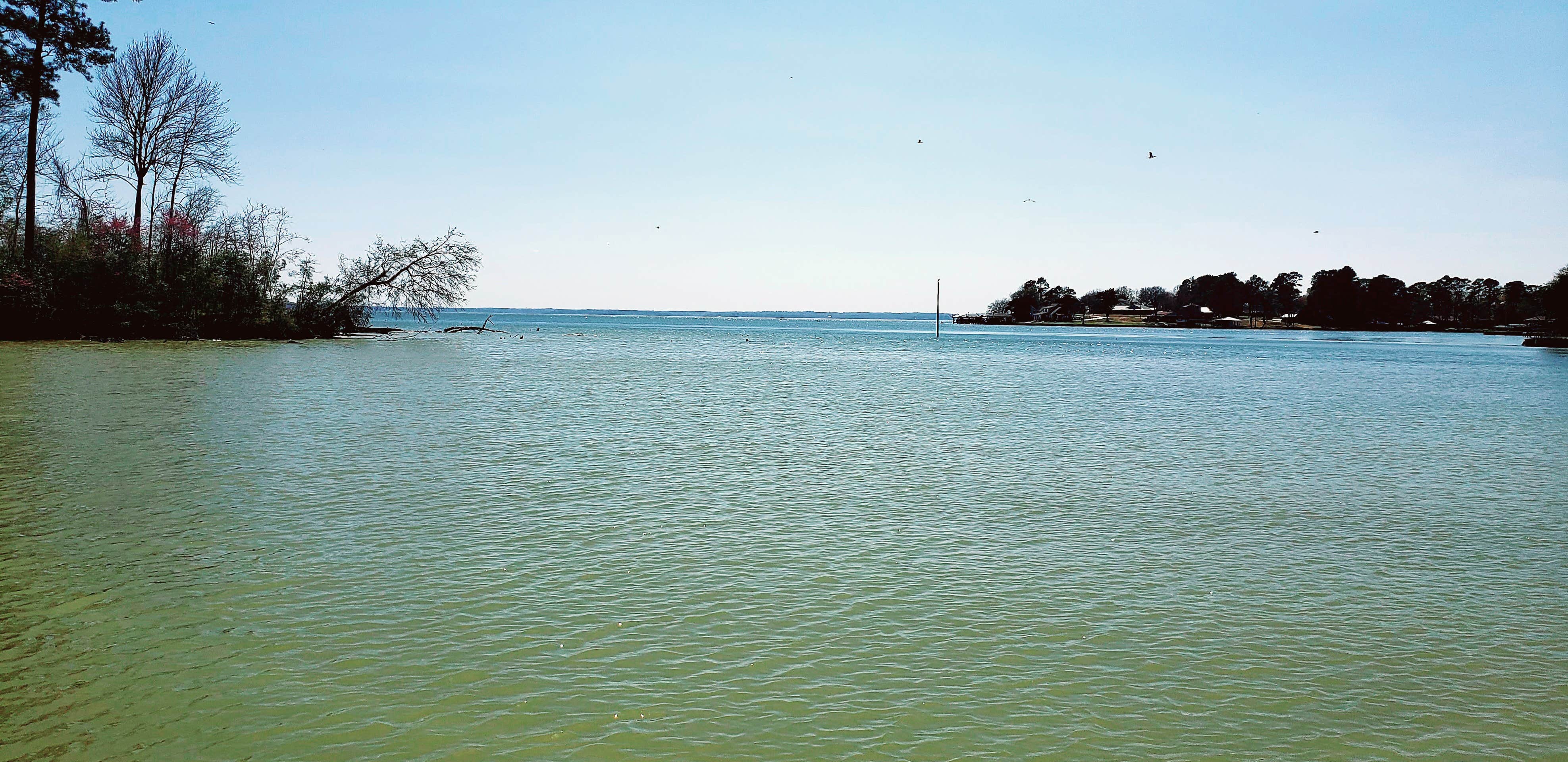 Camper-submitted photo at Living The Dream near Livingston, TX