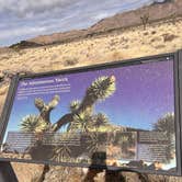 Review photo of Indian Cove Campground — Joshua Tree National Park by Brad P., January 30, 2023