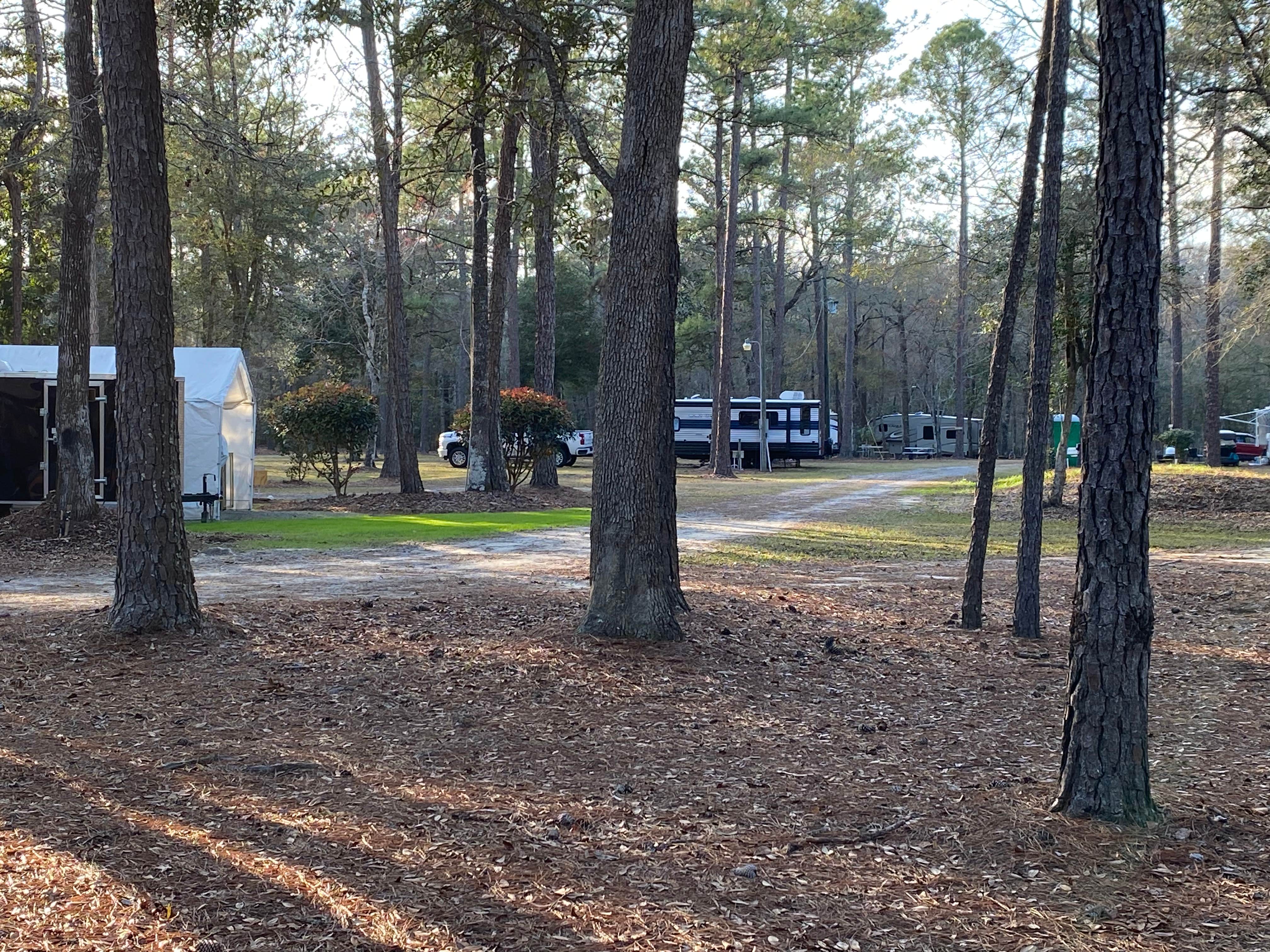 Camper-submitted photo at Deep Bend Landing near Woodbine, GA
