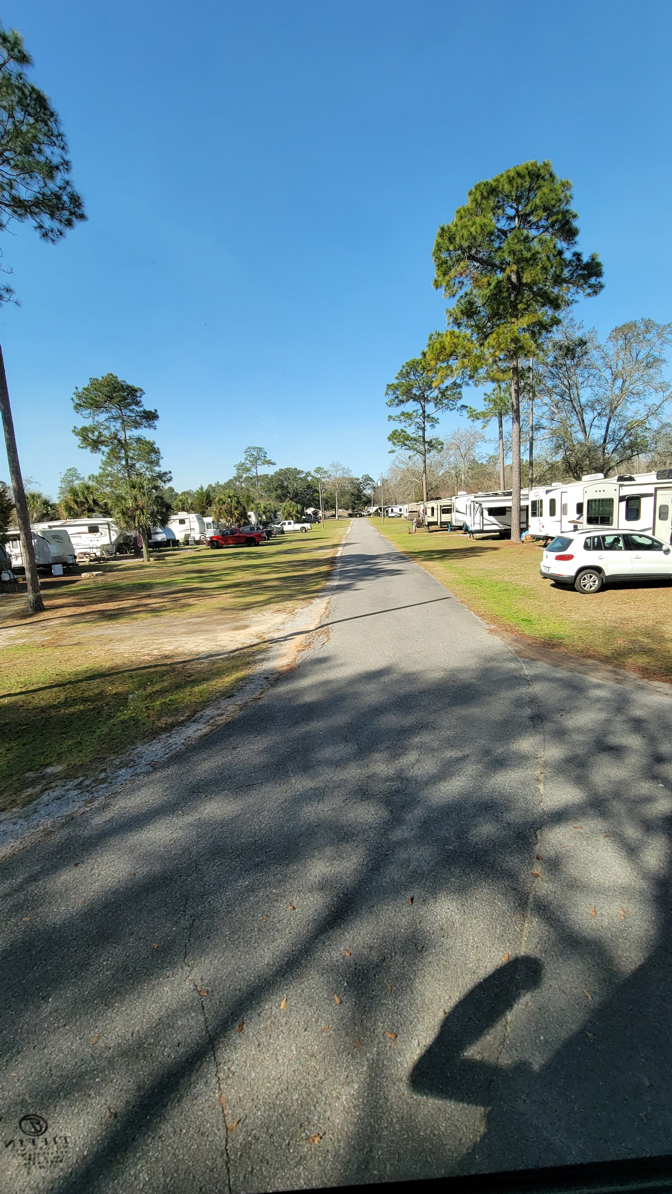 Camper submitted image from Milton-Gulf Pines KOA - 2