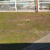 Review photo of Milton-Gulf Pines KOA by Tonya B., February 6, 2023