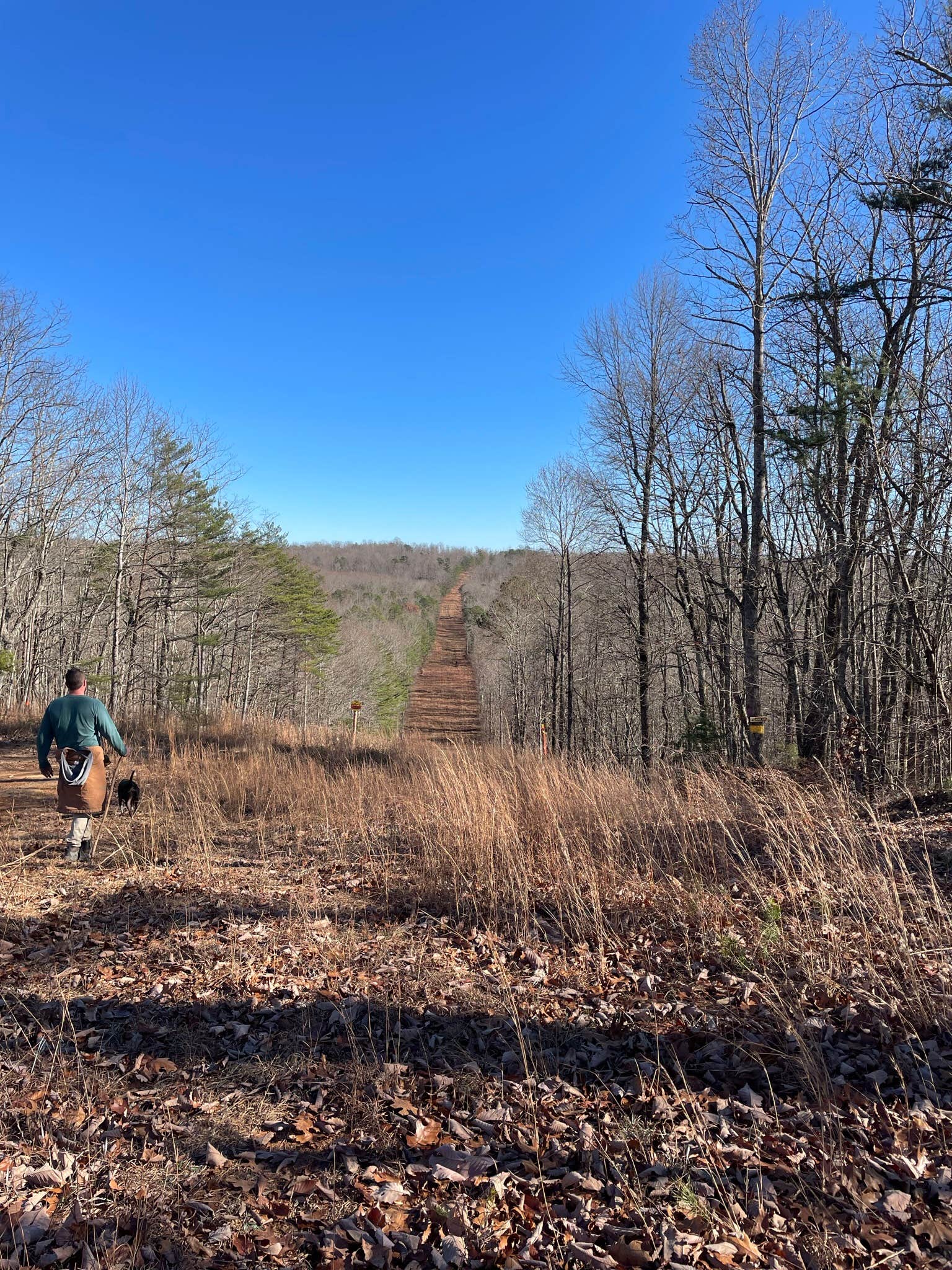 Kristen B.'s photo of camping with pets at Camp Chet near Chattanooga, TN