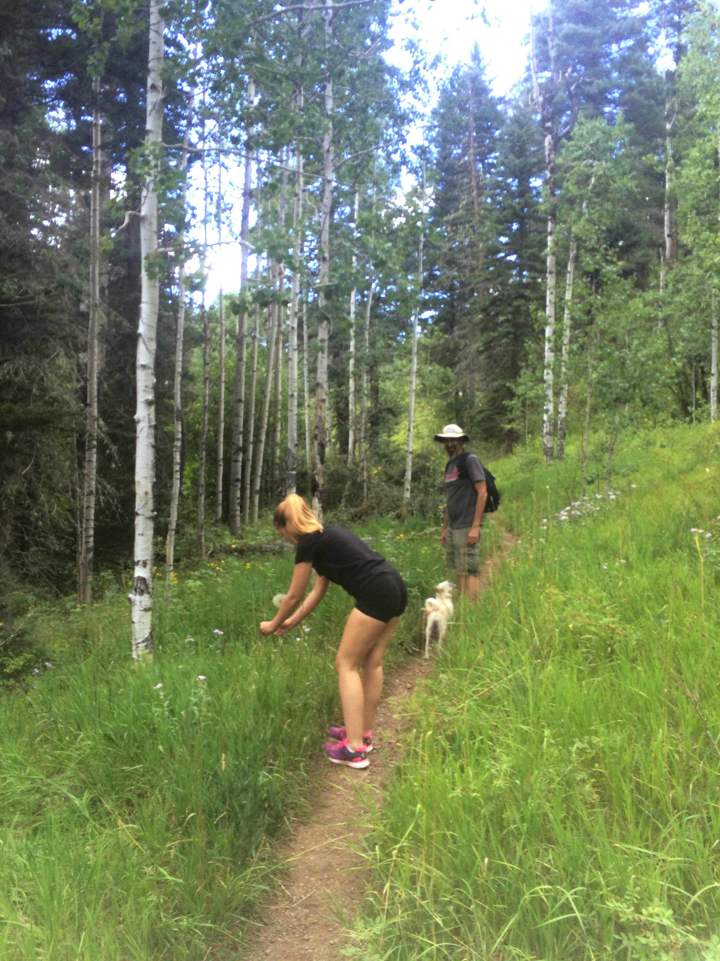 Camper-submitted photo at Cowles Campground near Pecos, NM