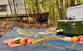 The Dyrt's photo at Tentrr Signature Site - Tentrr @ Clemson Experimental Forest near Anderson, SC