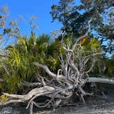 Review photo of Shired Island Campground by Cody L., February 7, 2023