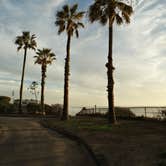 Review photo of South Carlsbad State Beach Campground by kenny T., February 7, 2023