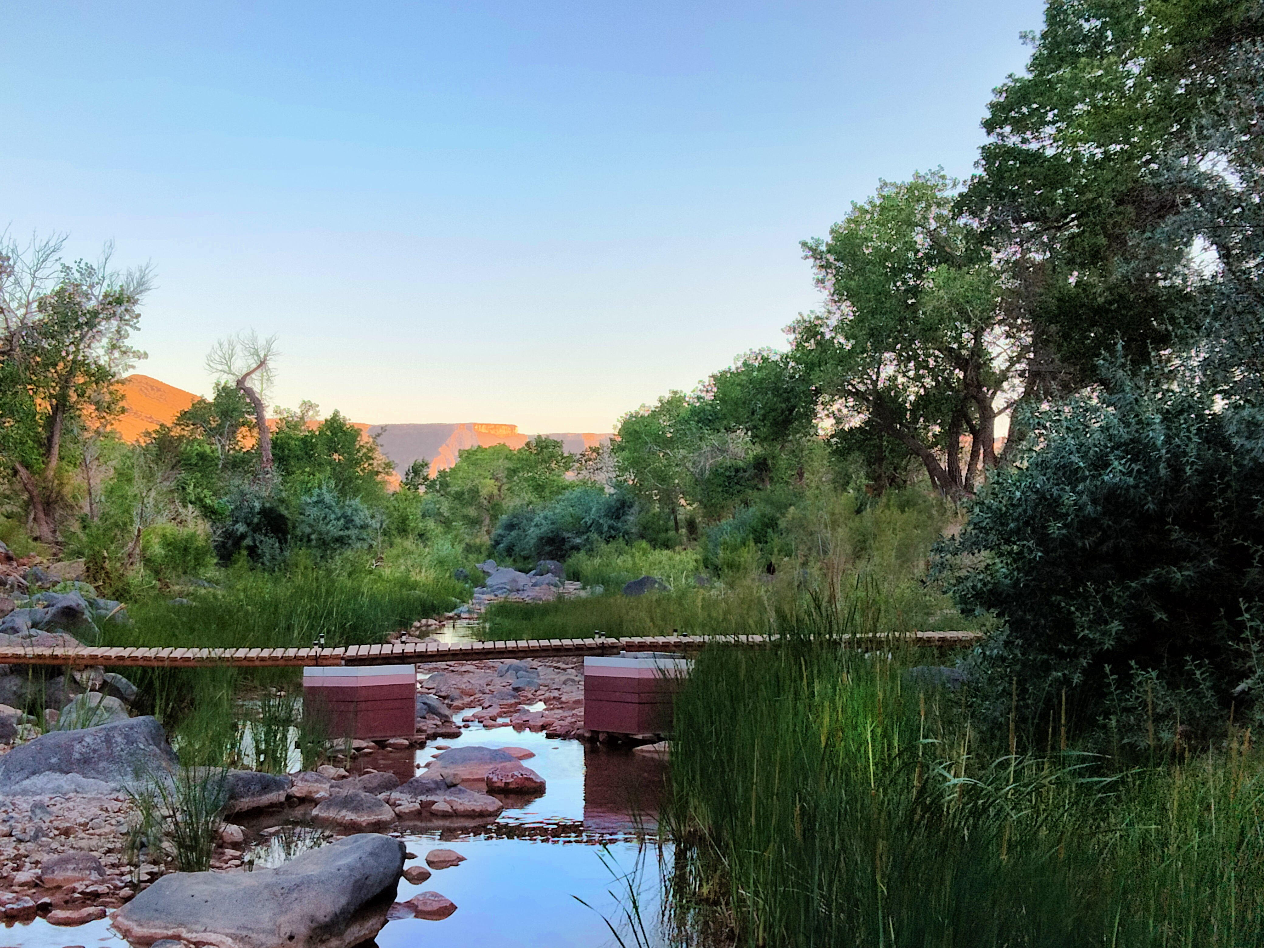 Camper submitted image from Kolob Gate Gardens - 1
