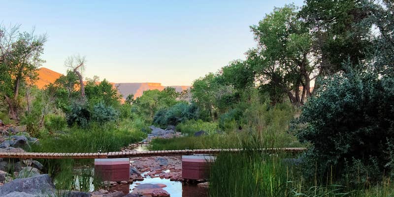 Camper submitted image from Kolob Gate Gardens