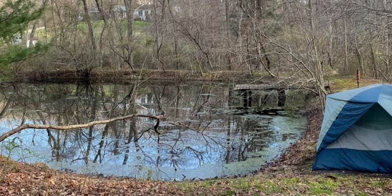 Camper submitted image from Starry Pond