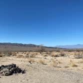 Review photo of Joshua Tree South Dispersed Camping by Erin , February 8, 2023