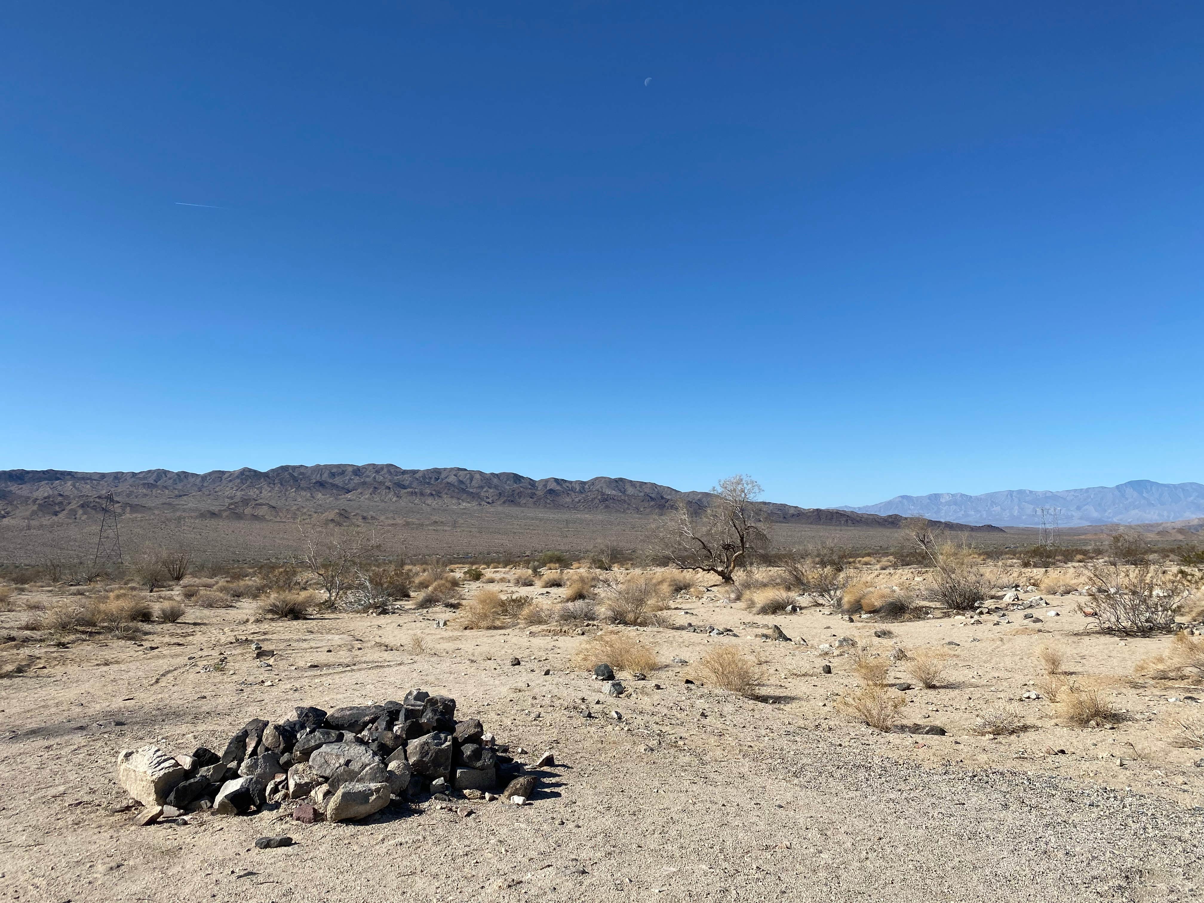 Camper submitted image from Joshua Tree South Dispersed Camping - 2