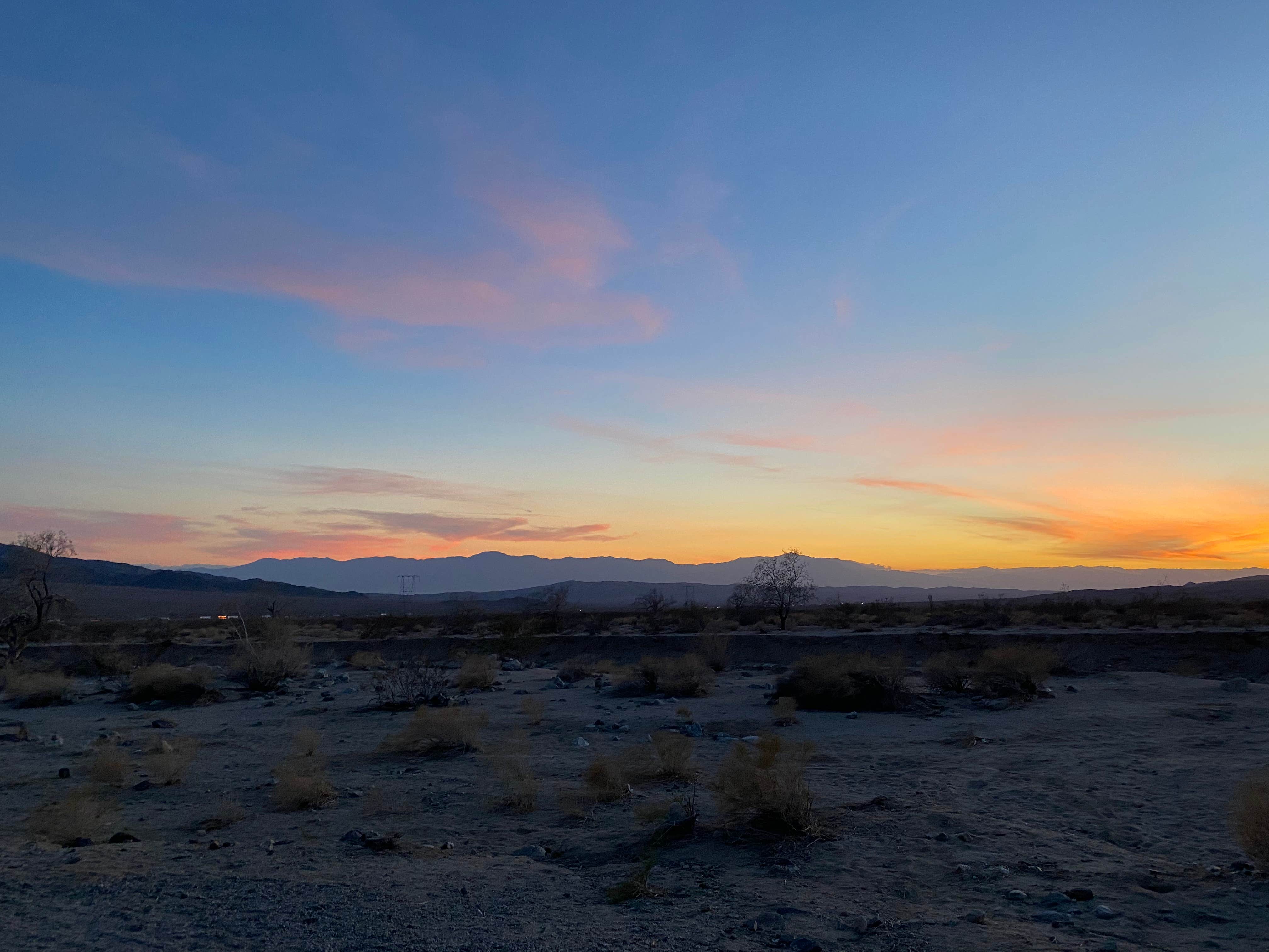 Erin's photo of a dispersed camping area at Joshua Tree South Dispersed Camping near Salton City, CA