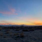 Review photo of Joshua Tree South Dispersed Camping by Erin , February 8, 2023